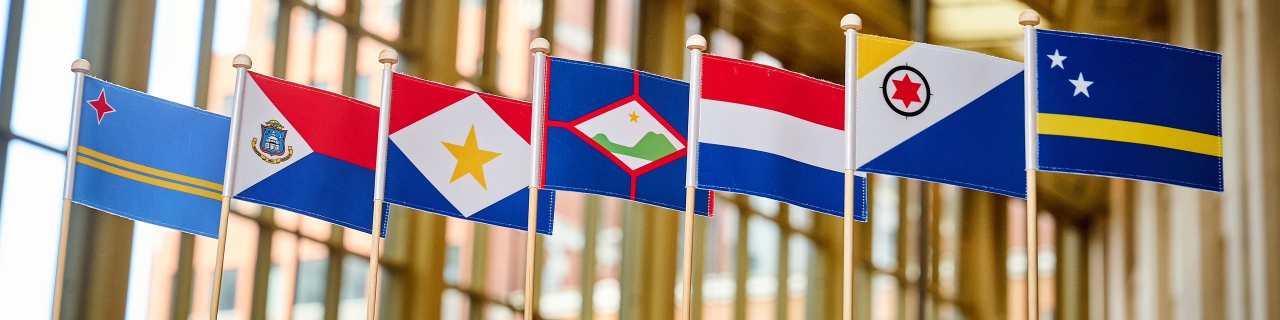 Vlaggen van het Koninkrijk der Nederlanden