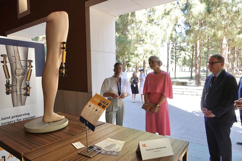 Queen Máxima at seminar Digital Health