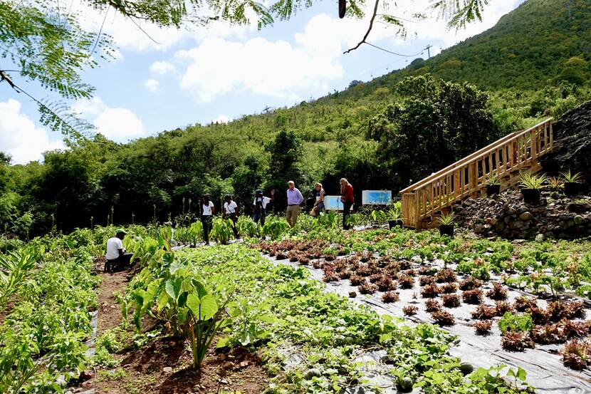 King Willem-Alexander, Queen Máxima and the Princess of Orange visit a school garden project in St Maarten