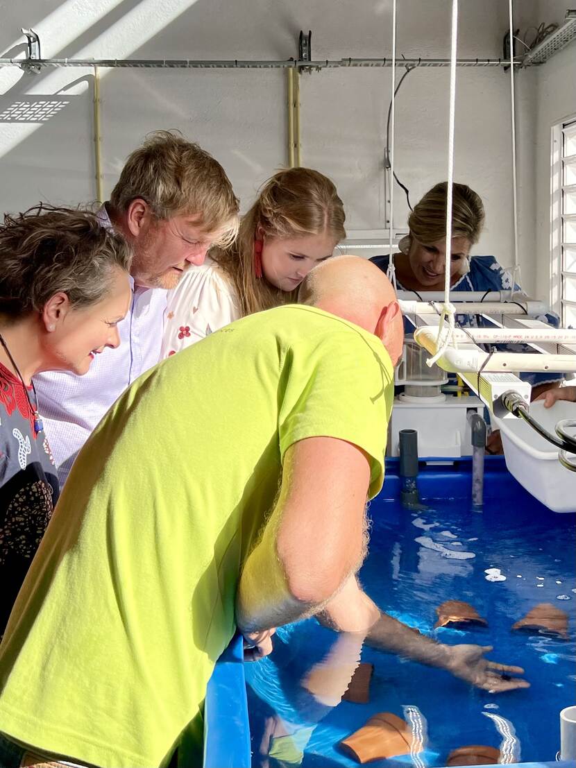 King Willem-Alexander, Queen Máxima and the Princess of Orange and project on Diadema sea urchins in Saba