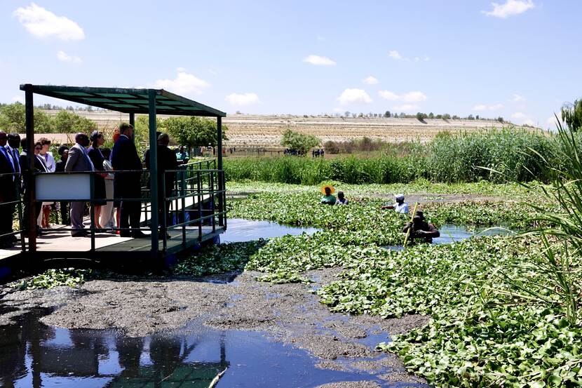 Blesbokspruit Wetland Reserve