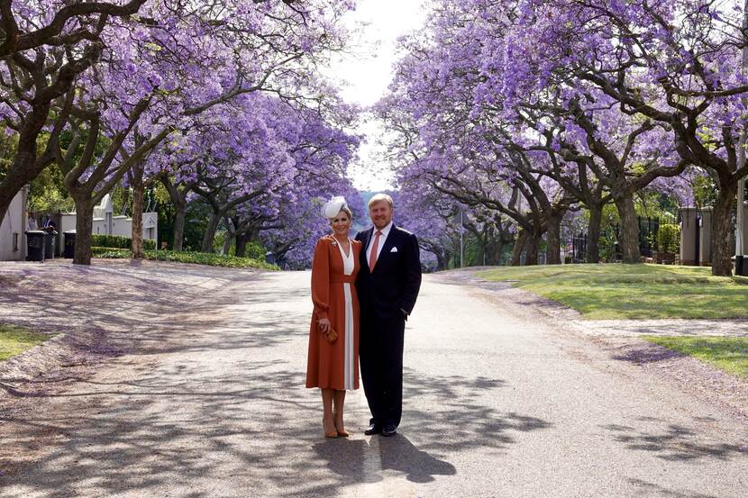 Royal couple Jacaranda trees state visit South Africa