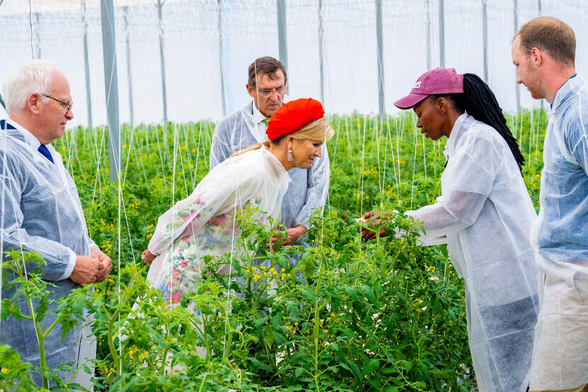 HortiDemoCentre state visit South Africa